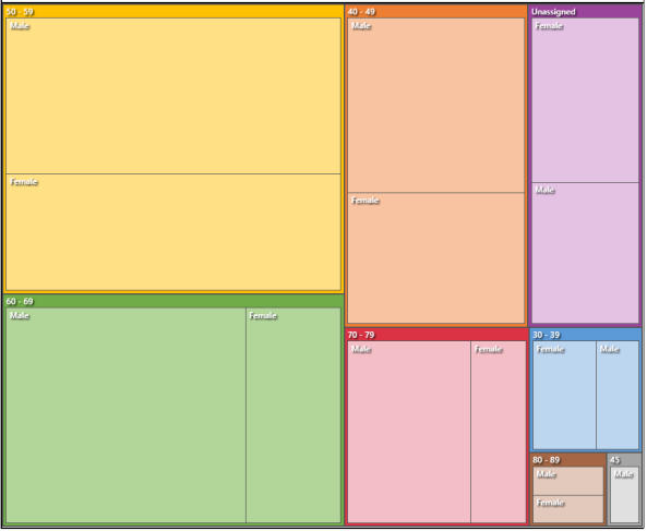 Hierarchy chart showing the spread of participants by age and gender.